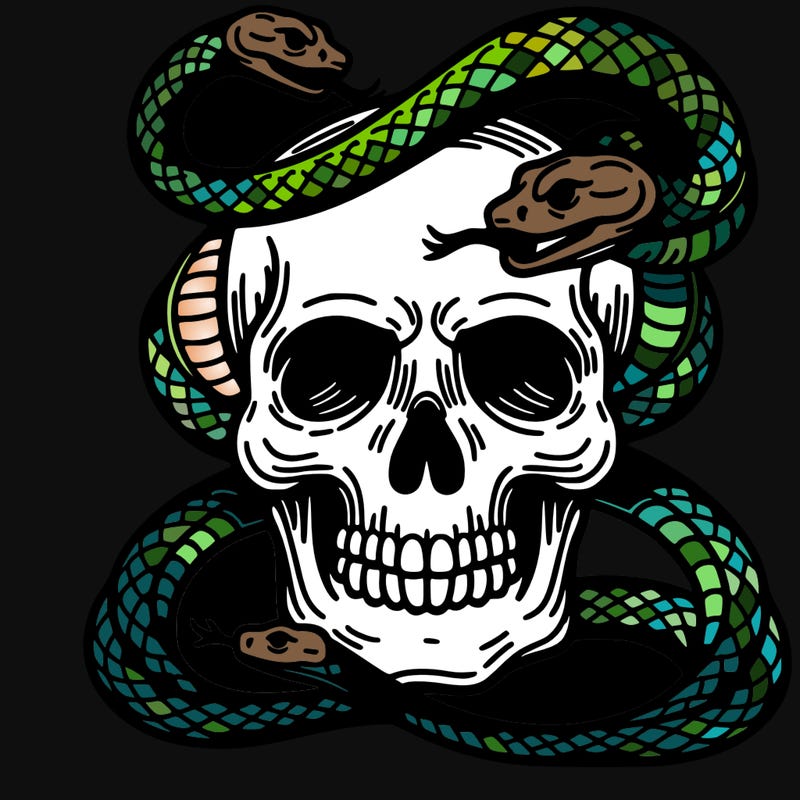 skull  with snakes