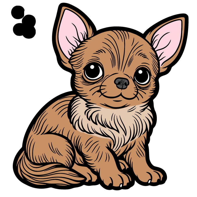 chihuahua