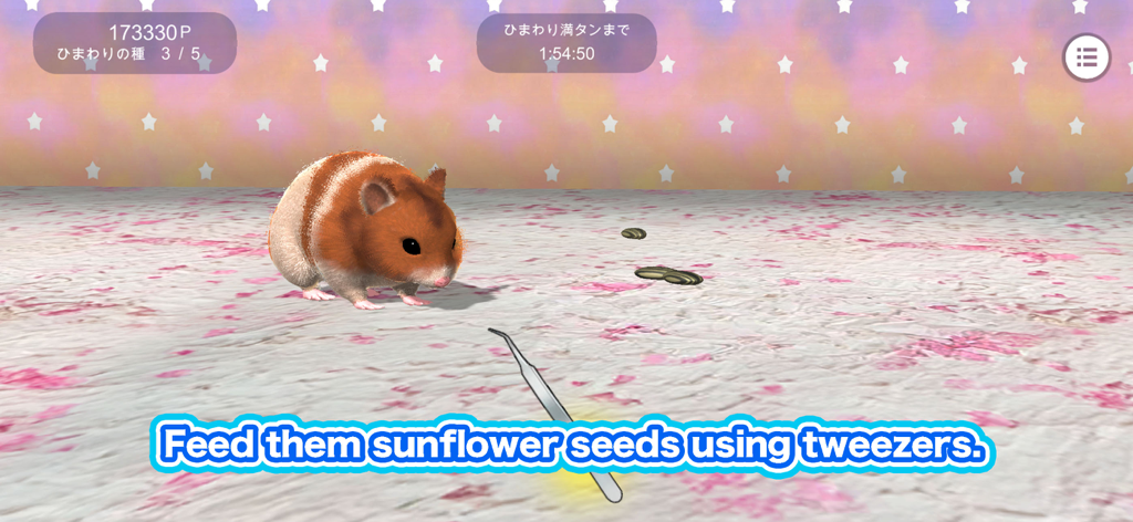 Un hámster marrón y blanco siendo alimentado con semillas de girasol con pinzas en su habitación personalizable