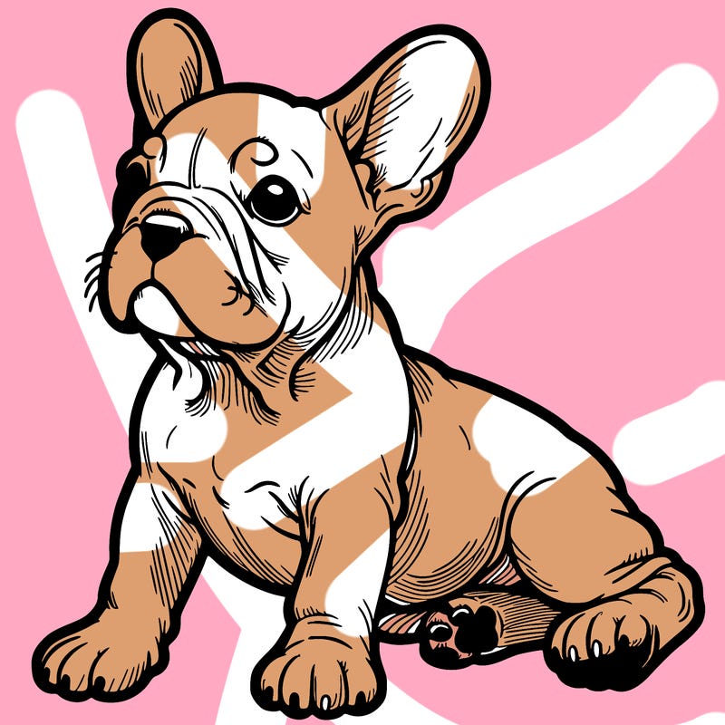 french bulldog