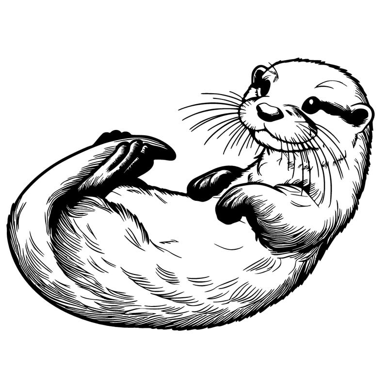 realistic otter on its back