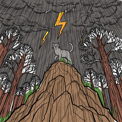 a cat standing on a tall rock with thunder and rain in the background and trees in the back to make it realistic