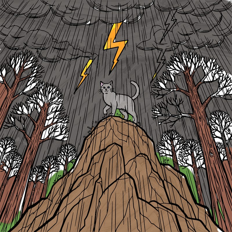 a cat standing on a tall rock with thunder and rain in the background and trees in the back to make it realistic