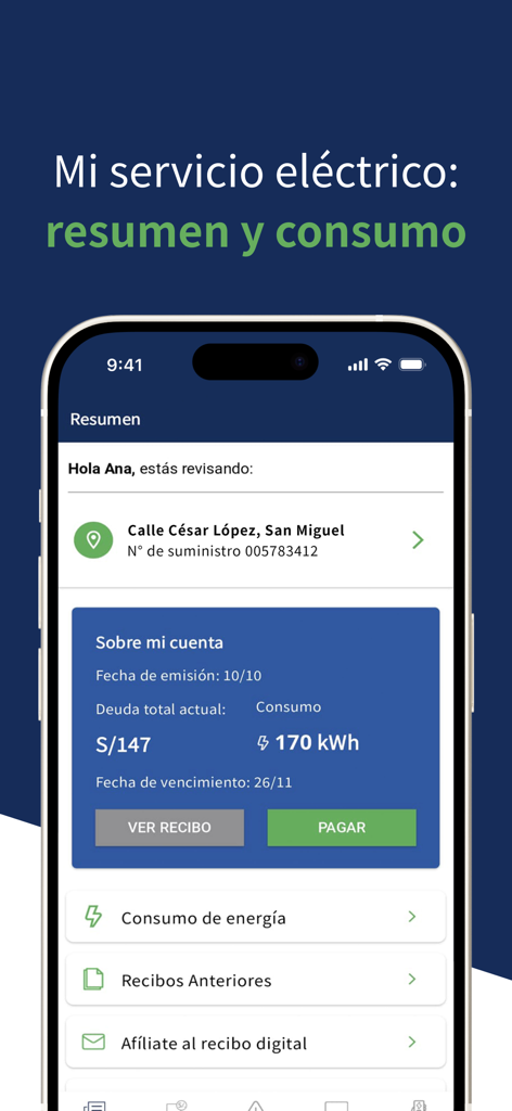 Pluz - Interface of the Pluz app showing an electricity bill summary with total amount due, kWh consumption, and options to view or pay the bill.