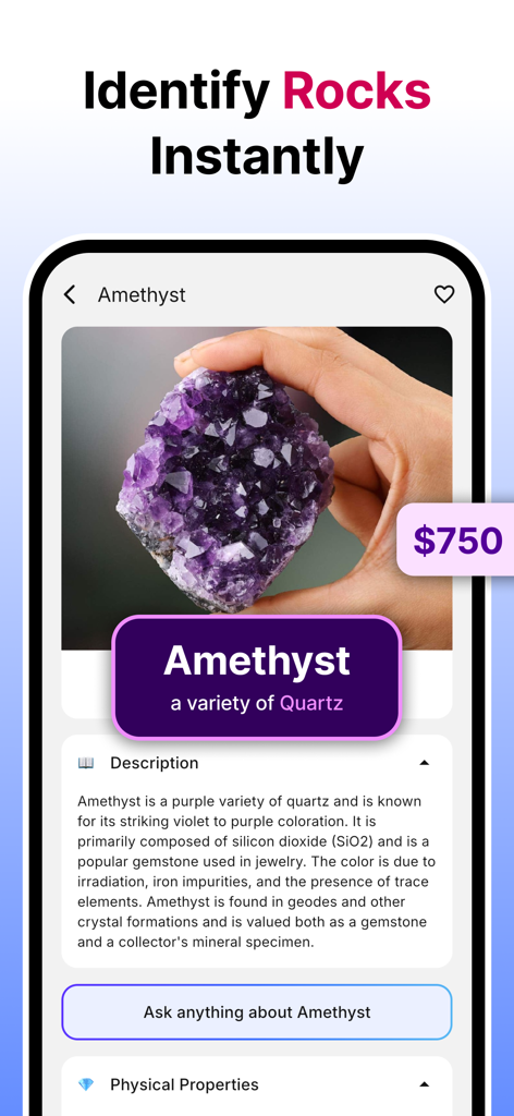 Rock Identifier: Gem & Rock ID - Captura de pantalla de la aplicación Rock Identifier mostrando una amatista identificada con su descripción y valor de mercado estimado.