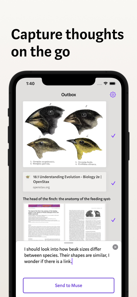 Muse — canvas for ideas - Mobile interface of Muse app showing an outbox with research images and a text note being captured