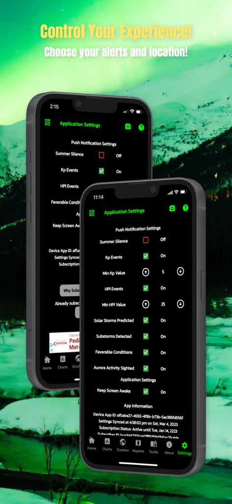 Amazing Aurora - Amazing Auroraアプリの設定画面に、オーロラ観測情報のプッシュ通知オプションが表示されています。