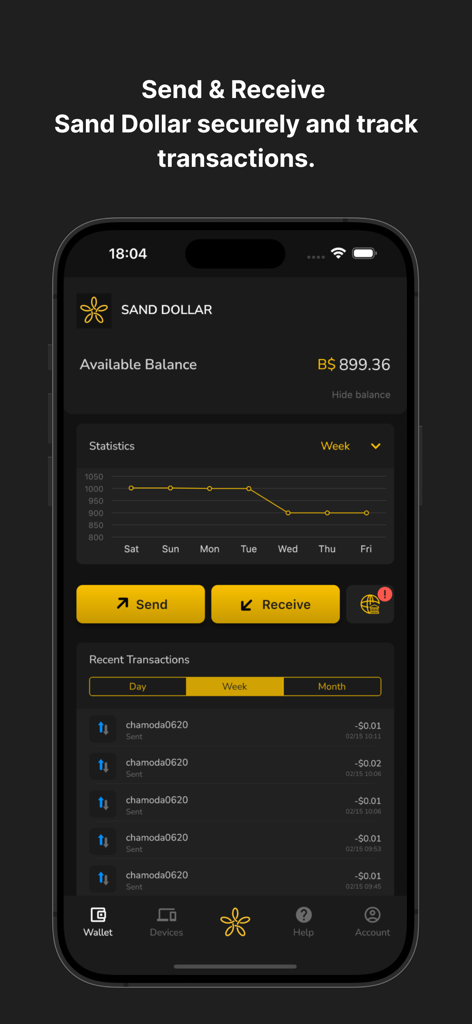 SandDollar - SandDollar app interface showing digital currency balance and transaction statistics