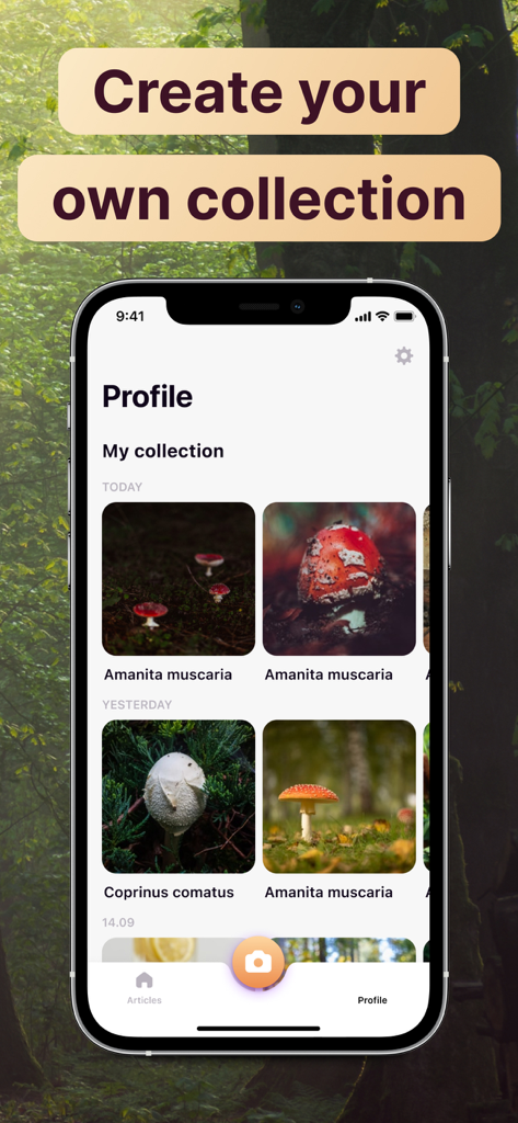 Capture d'écran de l'application d'identification de champignons par IA montrant le profil de l'utilisateur et une collection personnelle de champignons identifiés.