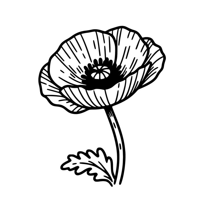 poppy