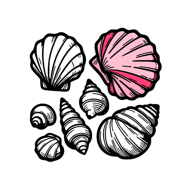 shells
