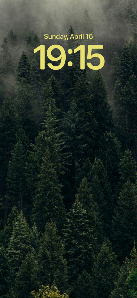 Wallcraft – Wallpapers, live - Tela de bloqueio do iPhone exibindo um papel de parede de alta qualidade de uma floresta de coníferas escura com uma atmosfera de névoa