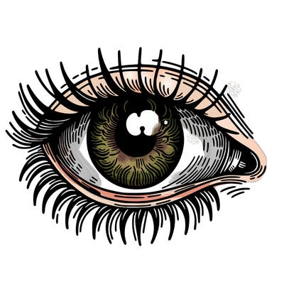 eye