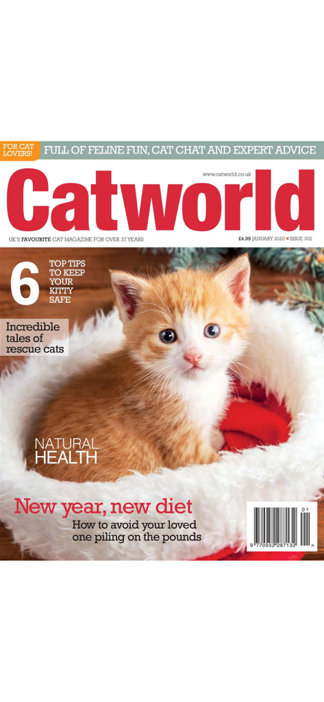 Catworld Magazine - Portada de la revista Catworld con un pequeño gatito jengibre y blanco en una cama blanca y esponjosa.