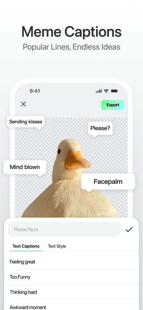 StickerX - Sticker Maker - StickerX app interface showing a duck sticker with various meme captions like Facepalm and Mind blown and a list of popular text phrases.