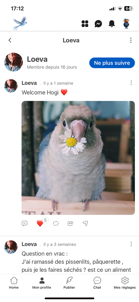 Oiseaux2France - A user post on the Oiseaux2France app showing a close-up photo of a small bird holding a daisy.