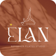Elan pilates studio