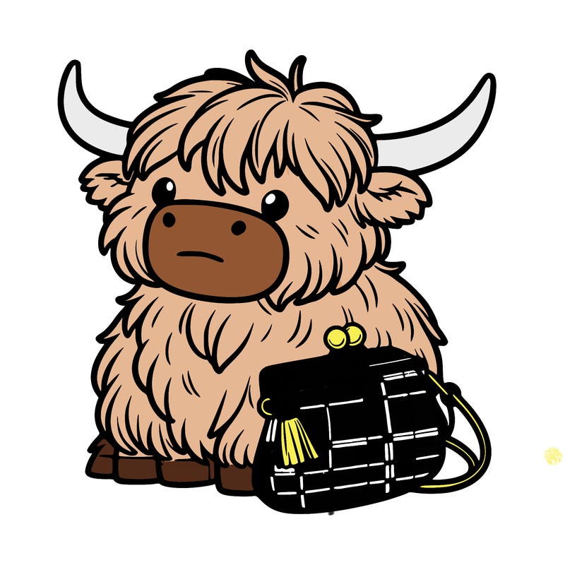 highland cow in a purse