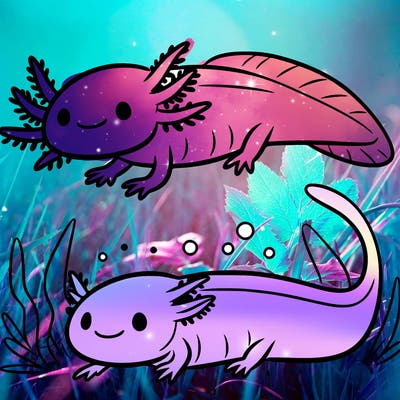 axolotl