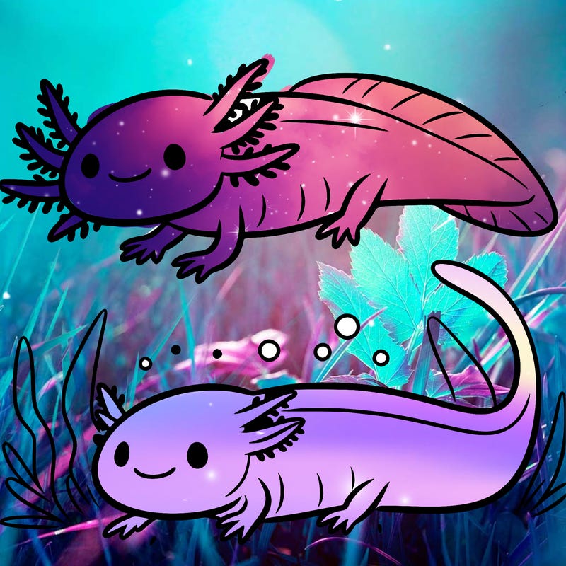axolotl