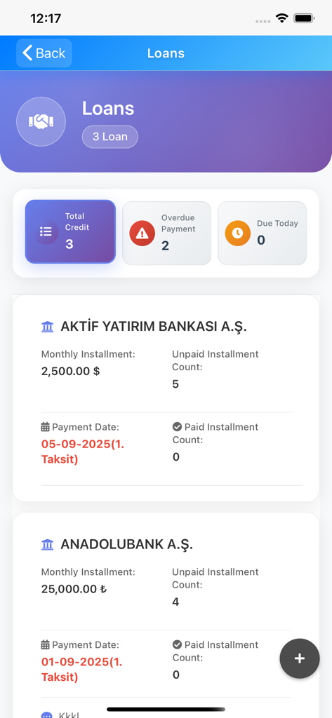 Mobile screen showing a summary of active loans and monthly installment tracking details.