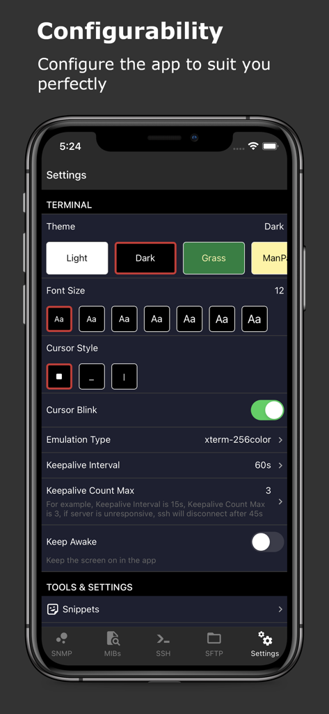 SNMP & SSH Terminal - Terminal settings screen in the SNMP and SSH Terminal app showing theme, font, and cursor customization options.
