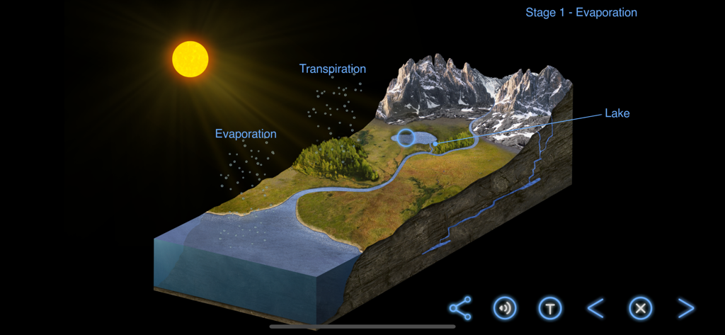 Earth and Science - 蒸発と蒸散の段階を示す、水の循環のインタラクティブな3D図。