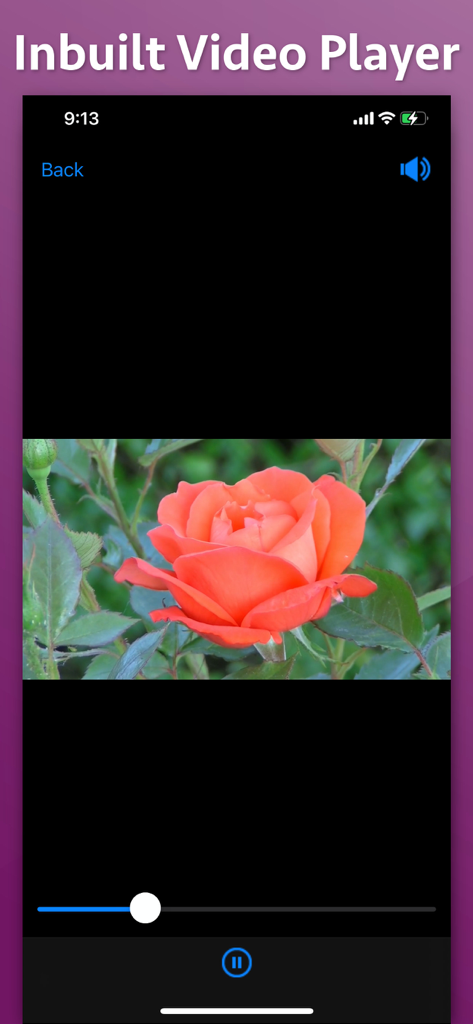 Video to Audio Extractor - Interfaz de la aplicación móvil que muestra el reproductor de vídeo incorporado previsualizando un vídeo de rosas