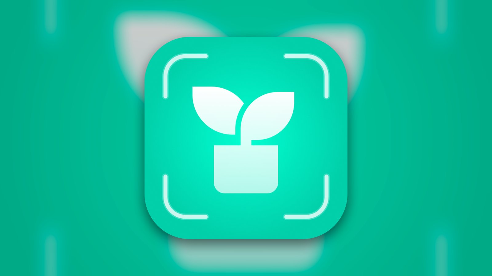 PlantX: AI Plant Care - Education App | MWM