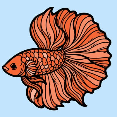 betta fish