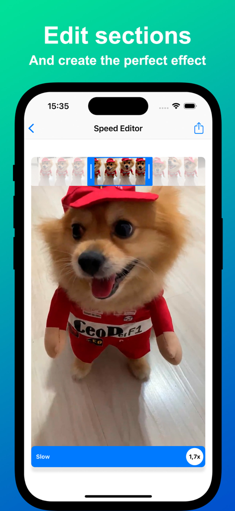 Video Speed slow motion editor - Interface of the Video Speed editor app showing how to edit specific sections of a video featuring a small dog