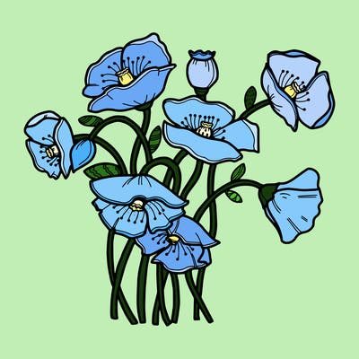 flowers_09