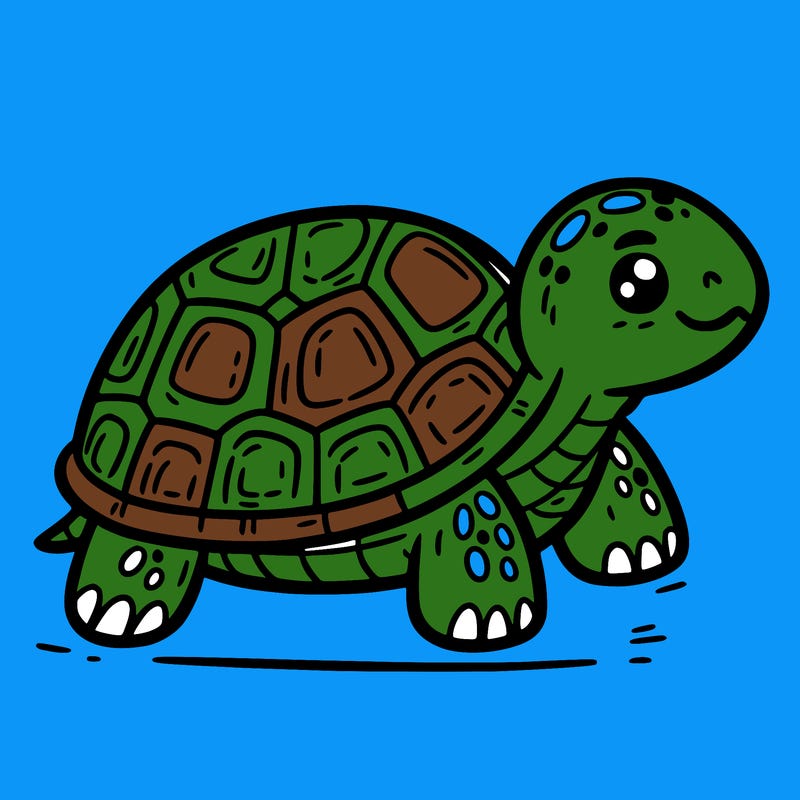 turtle