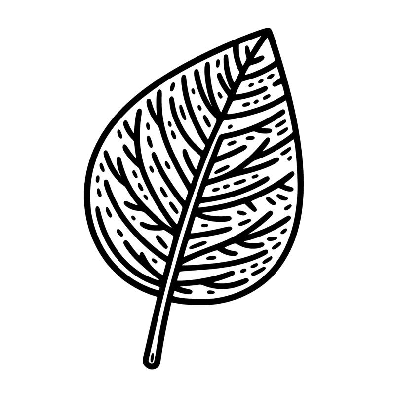 leaf