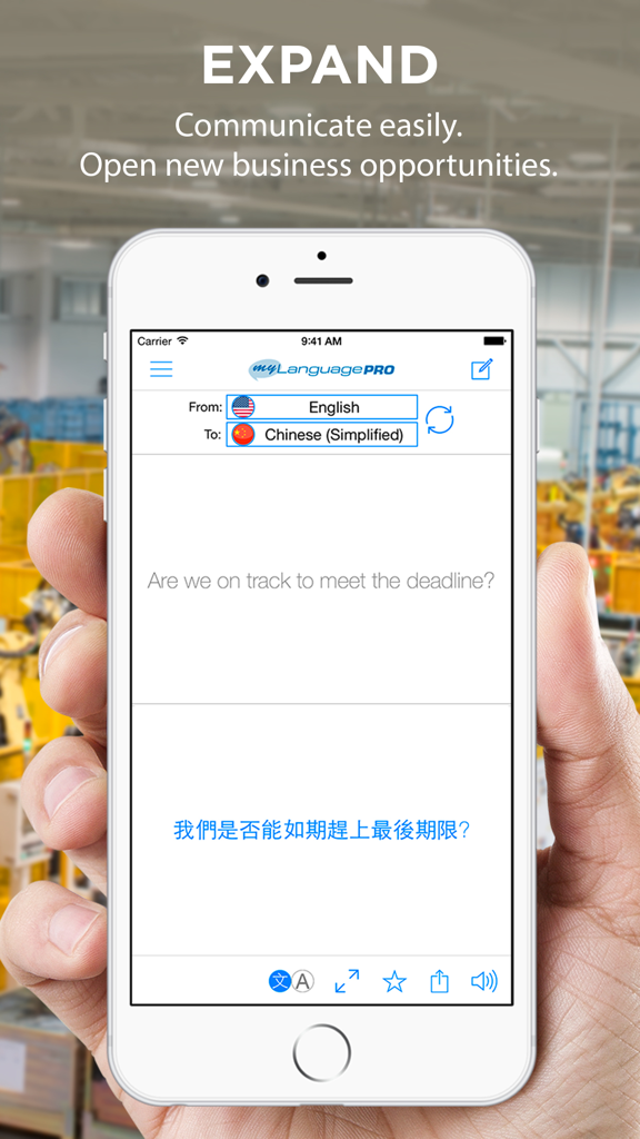 Translate Voice - Language Translator & Dictionary - iPhone screen showing English to Chinese translation for business communication