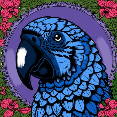 realistic parrot mandala
