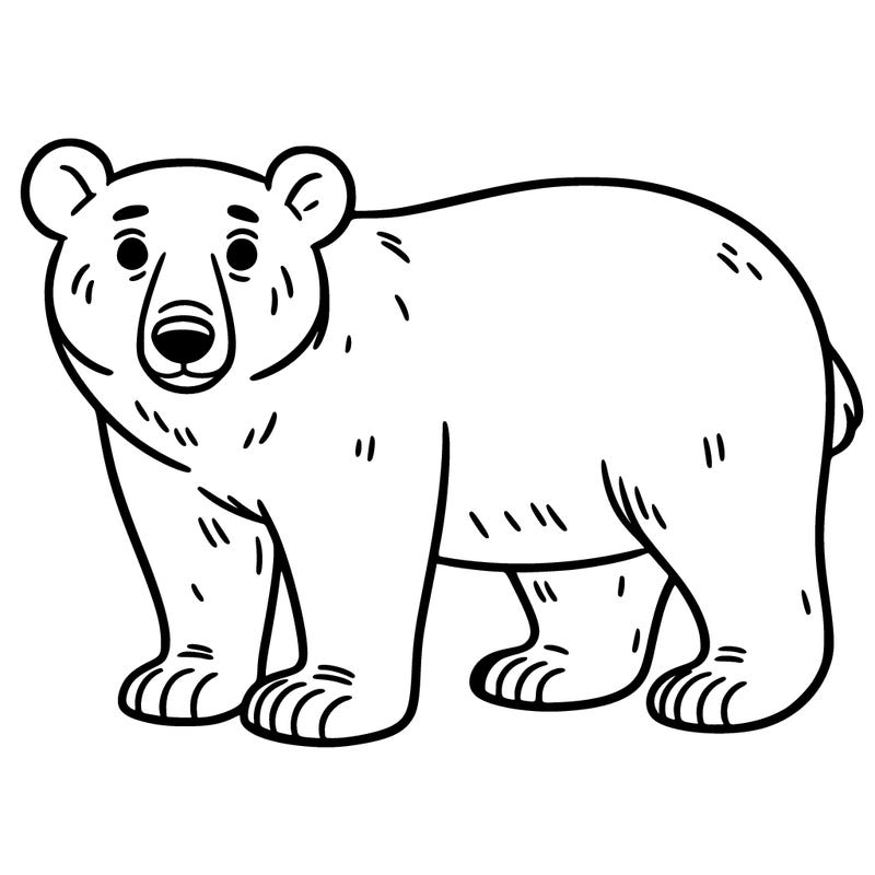 polar bear