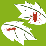 Plant diseases and pests - App Icon