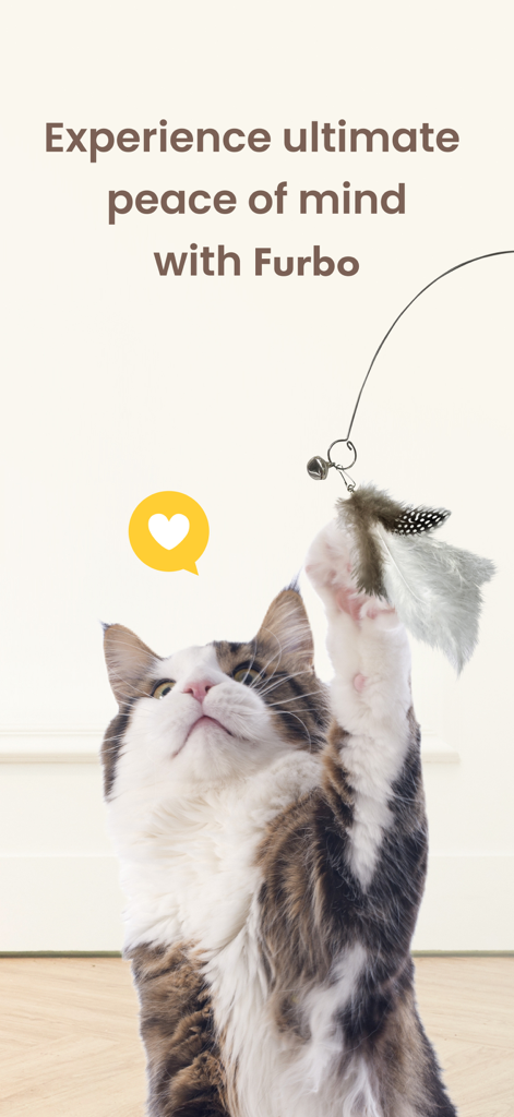 Fluffy cat playing with a feather toy and the text Experience ultimate peace of mind with Furbo