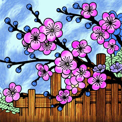 japan cherry blossom