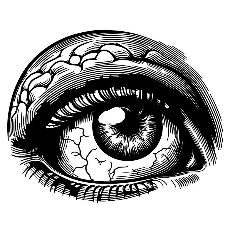 realistic human eye in the head