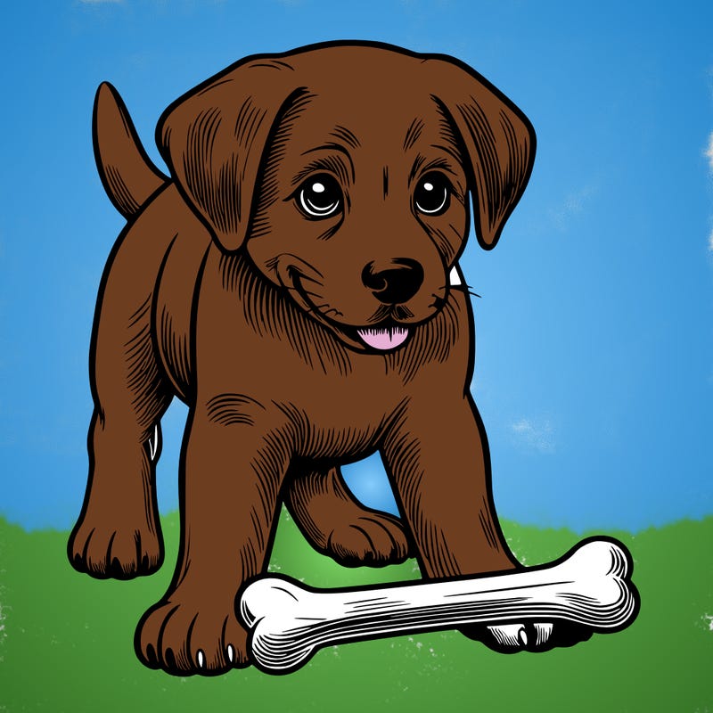 dog with a bone realistic