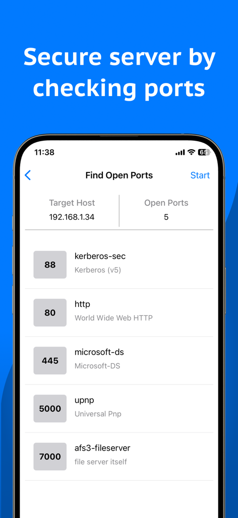 Interfaz de la aplicación Network Analyzer mostrando puertos abiertos para un servidor de red local