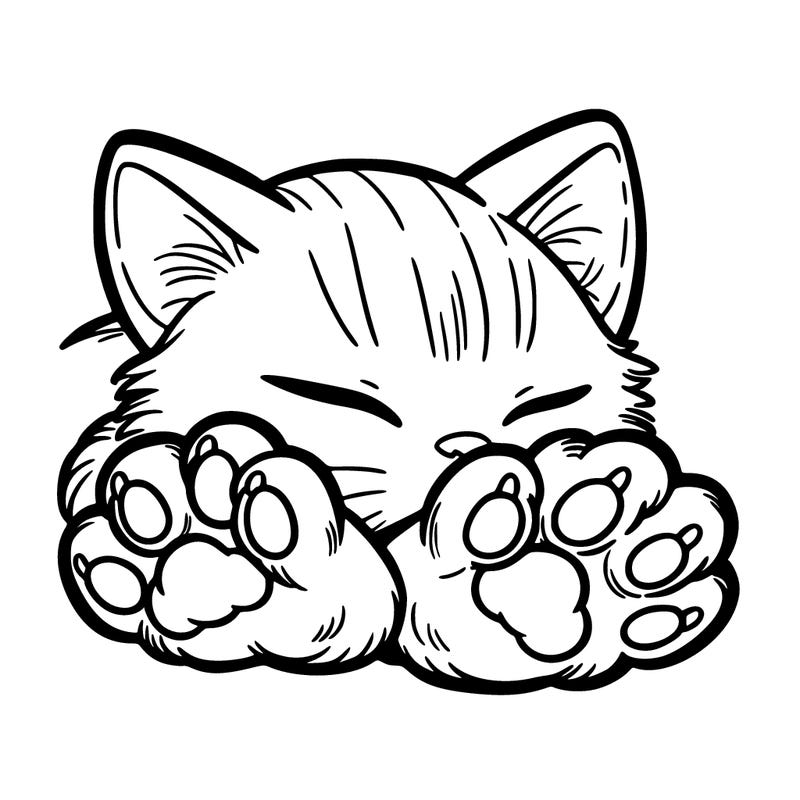 kitten paws