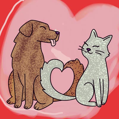 animals_22
