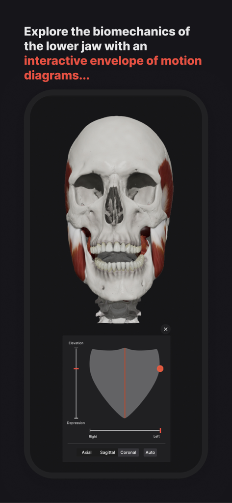 Ein 3D-Modell eines menschlichen Schädels mit einem interaktiven Diagramm des Bewegungsumschlags für die Kieferbiomechanik
