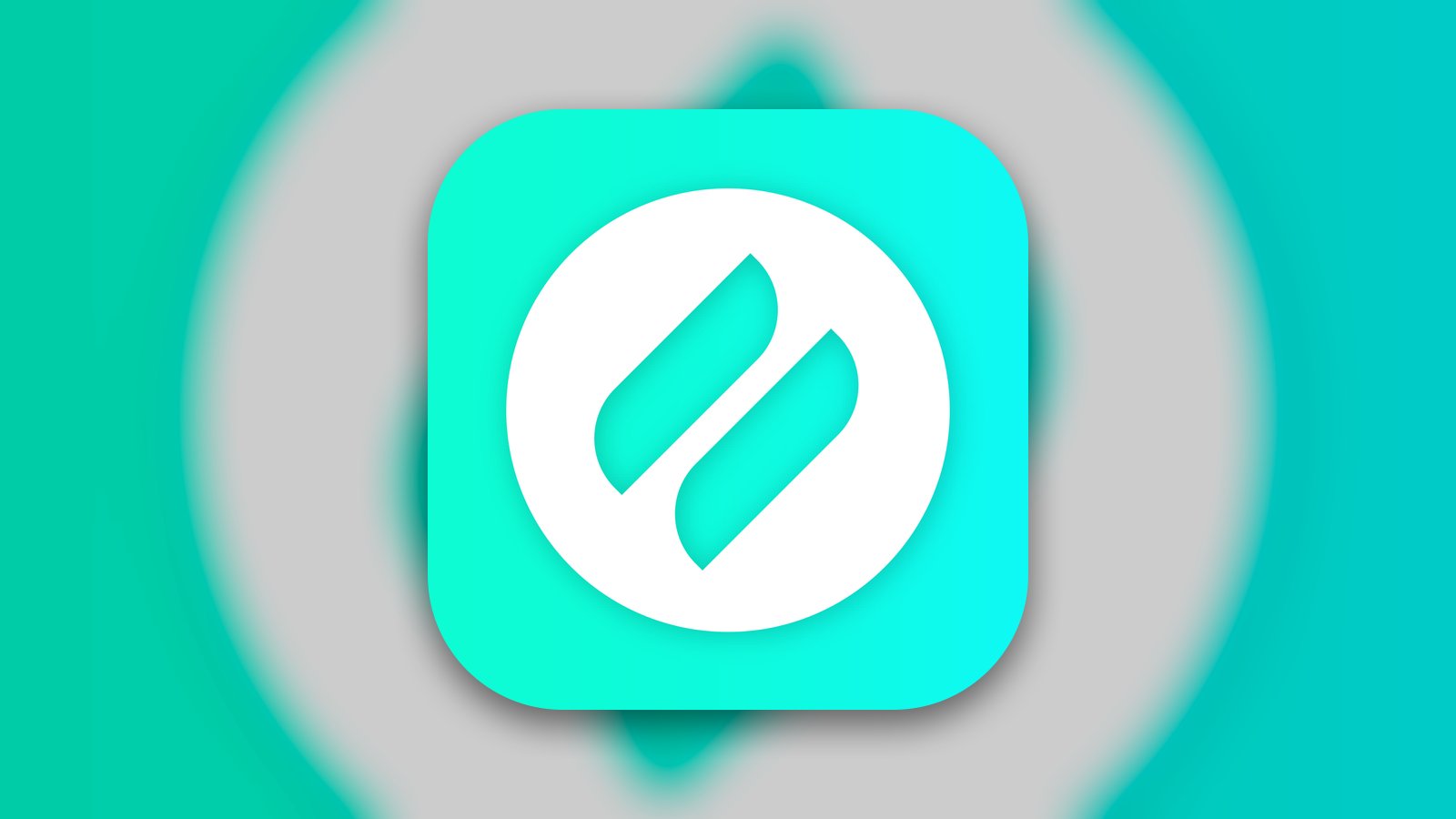 Ditto Connect - Productivity App | MWM