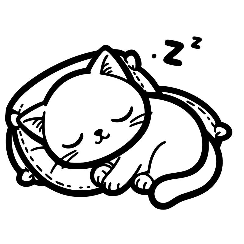 cat nap