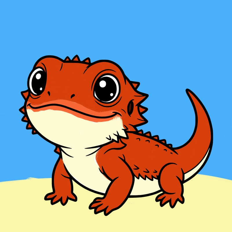 a kawia baby bearded dragon