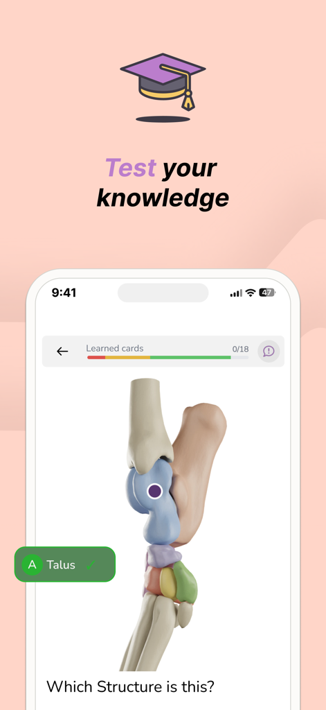 Vetflow - Learn Anatomy - Interfaz de la aplicación Vetflow mostrando un cuestionario de anatomía veterinaria en 3D identificando el hueso Tálo.